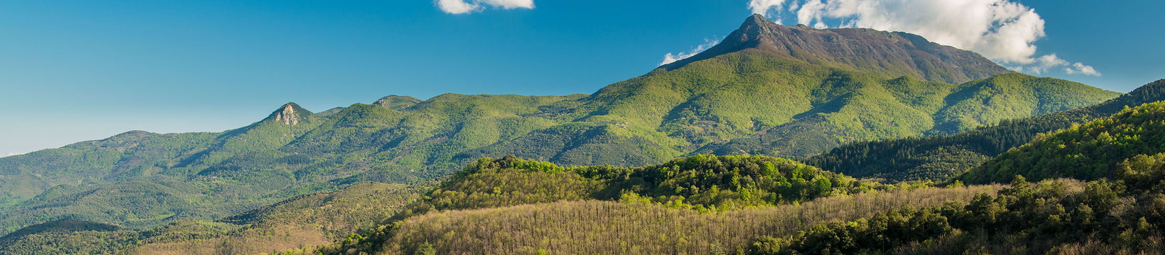 Activitats Paisatge del Parc Natural del Montseny
