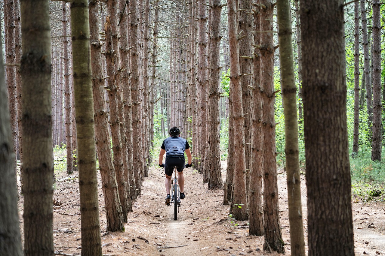Activitats mountain bike, cycling, biking, cyclist, pine, fitness, exercise, nature, activity, sport, cycle, bike, adventure, mountain bike, mountain bike, mountain bike, mountain bike, mountain bike, cycling, cycling, cyclist